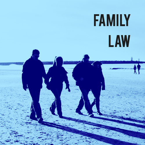 Family Law Including Children Matters